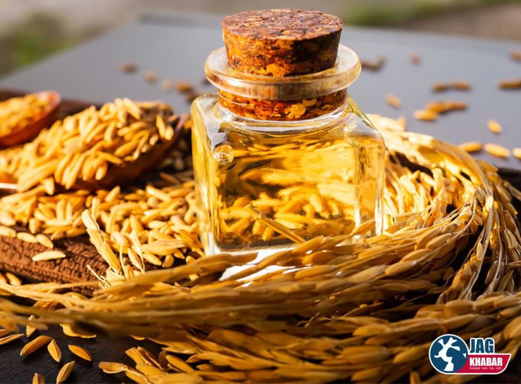 Rice Bran Oil